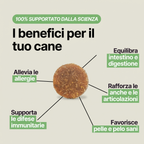 I benefici di VitaPaw: intestino e digestione, difese immunitarie, articolazioni, pelle e pelo