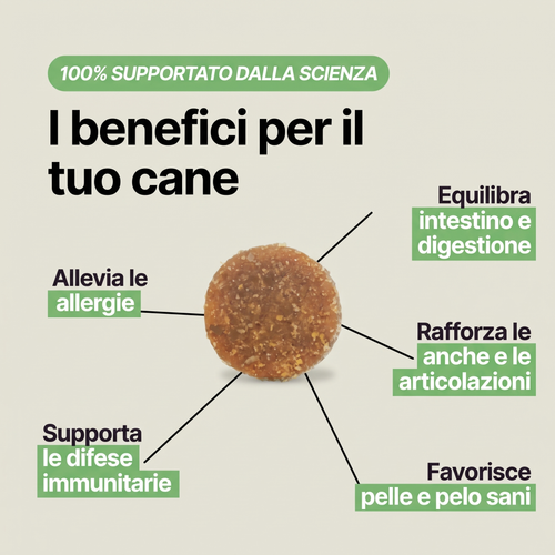 I benefici di VitaPaw: intestino e digestione, difese immunitarie, articolazioni, pelle e pelo